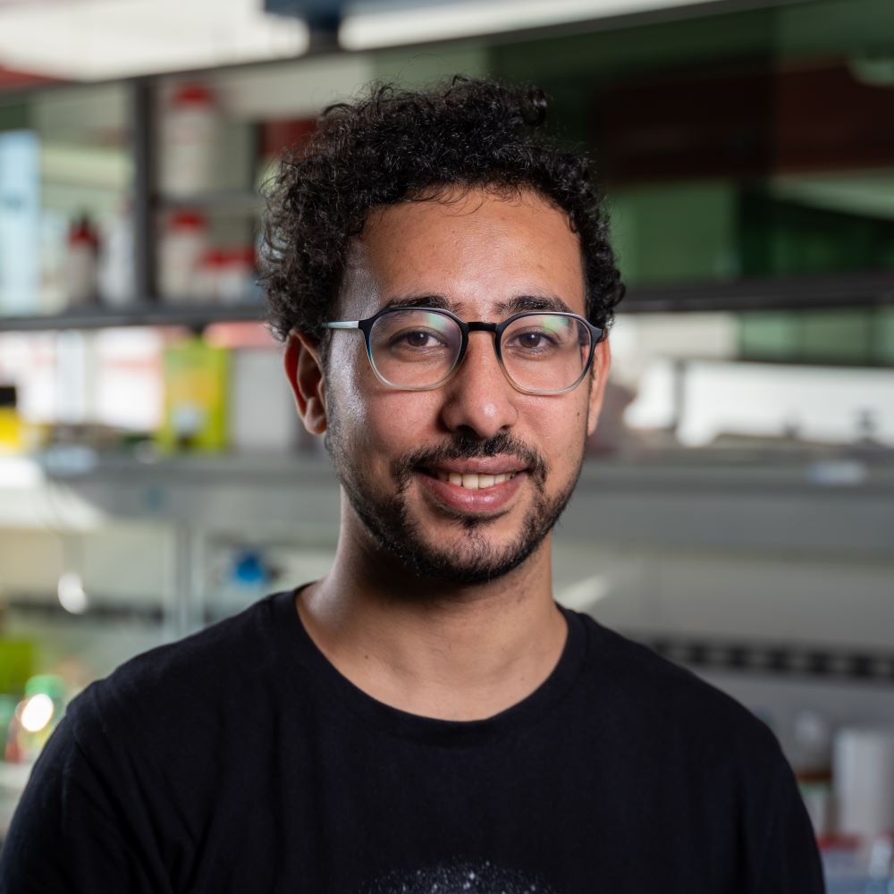 Profile picture of Ahmed Samaha